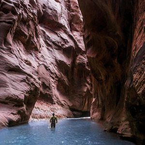 Meet your Posher, Mauricio